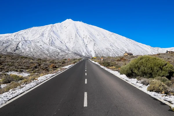 Paesaggio desertico — Foto Stock