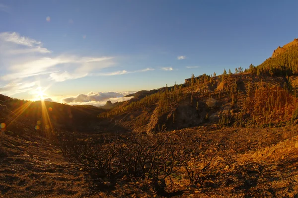 Wüstenlandschaft — Stockfoto