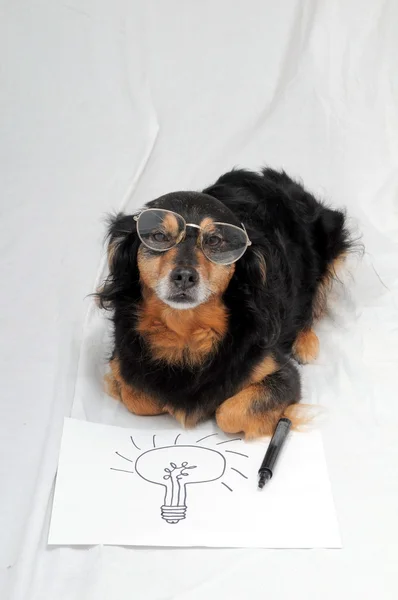 Nakreslený pes — Stock fotografie