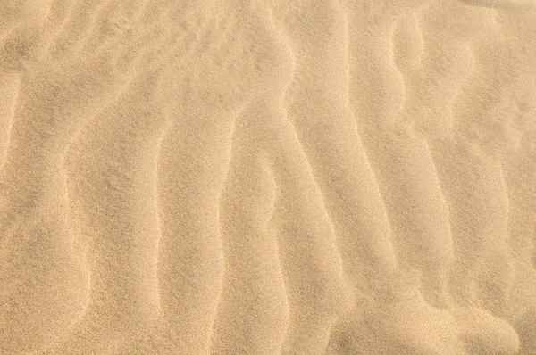 Sand Dune Desert Texture — Stock Photo, Image