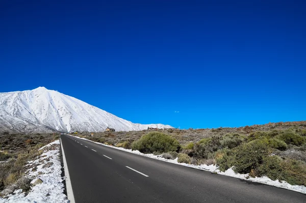 Paisaje del desierto — Foto de Stock