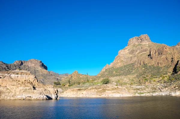 River with Dark Black Water — Stock Photo, Image