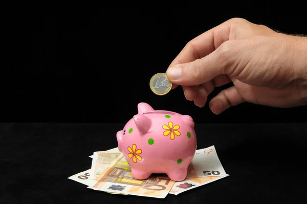 Pink Pig Piggy Bank — Stock Photo, Image