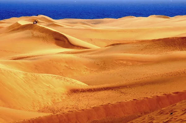 Sand Desert — Stock Photo, Image