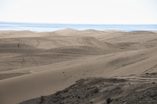 Desierto de dunas de arena —  Fotos de Stock