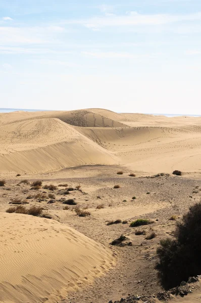 Textura del desierto de dunas de arena —  Fotos de Stock