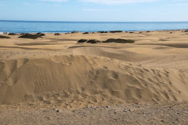 Desierto de dunas de arena —  Fotos de Stock