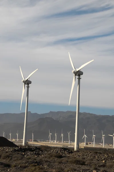 Power generator windturbine — Stockfoto