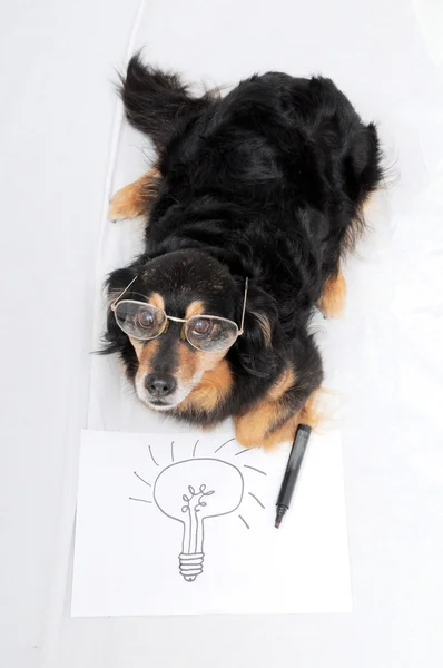 Cão de desenho — Fotografia de Stock