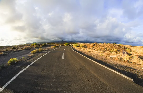 Long Empty Desert Road — Stock Photo, Image
