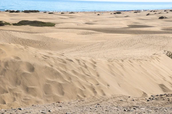 Sanddyner öken — Stockfoto