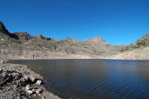 Fiume con acqua nera scura — Foto Stock