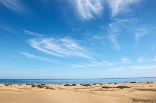 Sanddünenwüste — Stockfoto