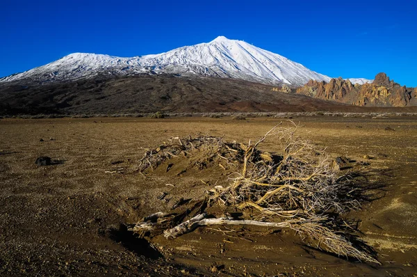 Desert Landscape — Stock Photo, Image