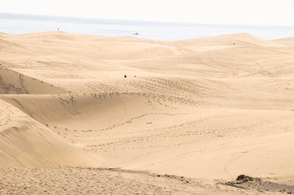 沙丘沙漠 — 图库照片