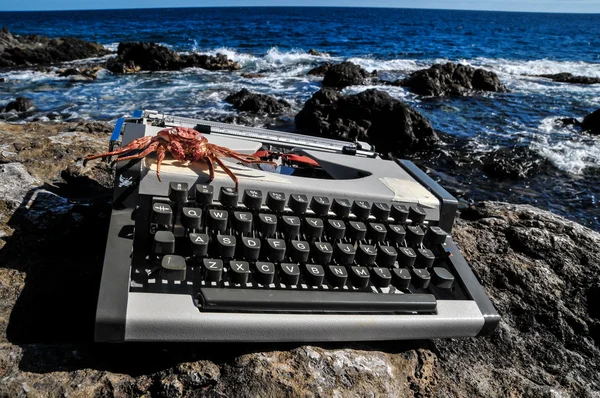 Vintage noir et blanc Machine à écrire Voyage — Photo