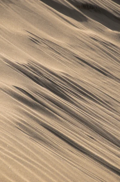 Písečné duny pouště textura — Stock fotografie