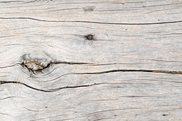 Motif en bois Texture du tronc — Photo