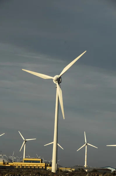 Power Generator Wind Turbine — Stock Photo, Image