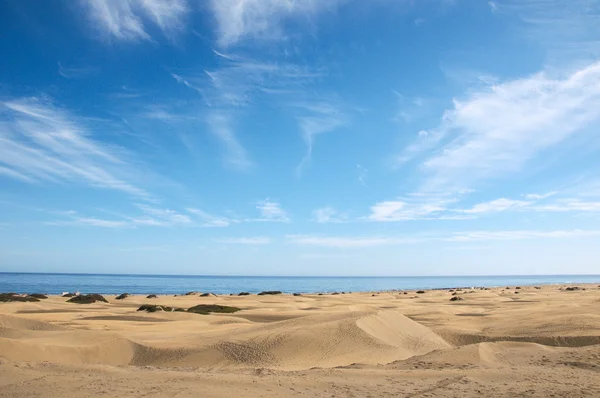 Desierto de dunas de arena —  Fotos de Stock