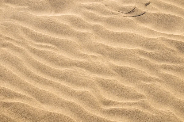 Αμμόλοφο έρημο υφή — Φωτογραφία Αρχείου