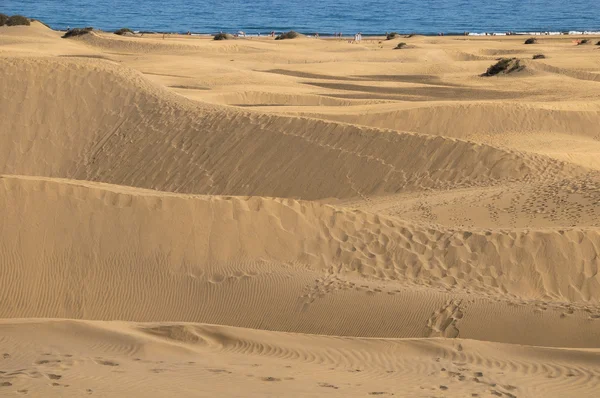 Desierto de dunas de arena — Foto de Stock