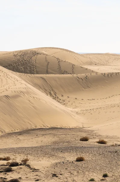 Uitzichtpunt woestijn — Stockfoto