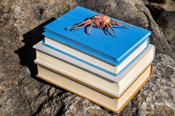 Orange krabbe på blå bøger - Stock-foto