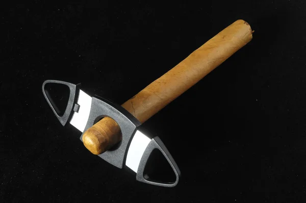 Cigarro havan marrón cubano —  Fotos de Stock