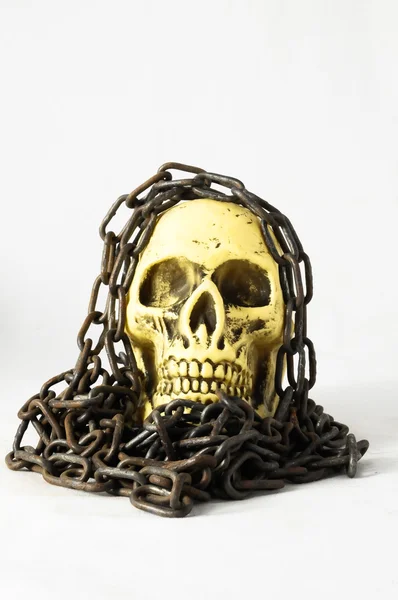 Skull and old Chains — Stock Photo, Image