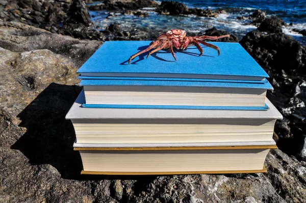 Pomarańczowy kraba na niebieski książki — Zdjęcie stockowe