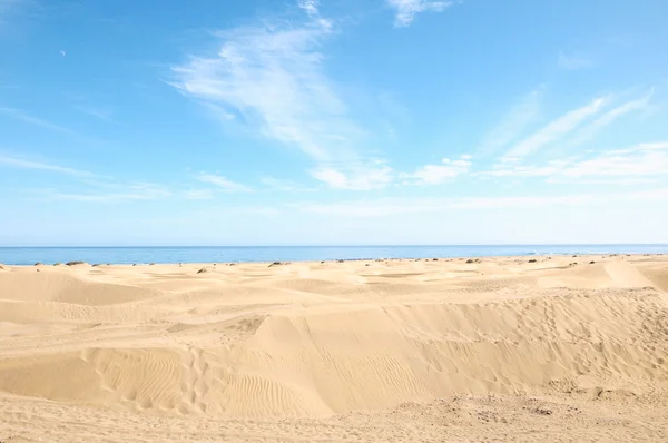 Sand Dune Desert — Stock Photo, Image