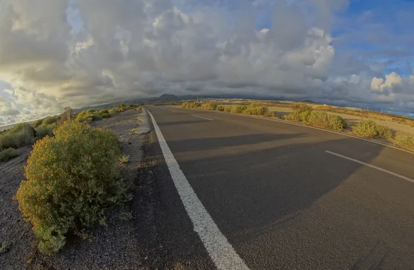 Largo camino vacío del desierto —  Fotos de Stock