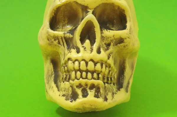 Желтый череп — стоковое фото