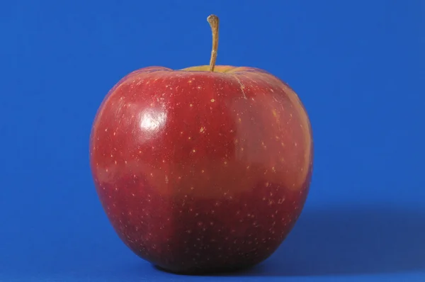 Red Apple — Stock Photo, Image