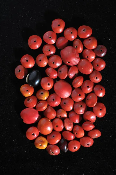 Colored Round Seeds — Stock Photo, Image