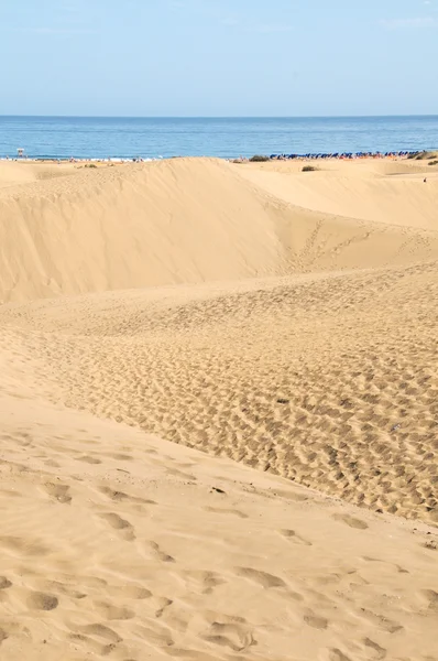 Sand Dune Desert — Stock Photo, Image