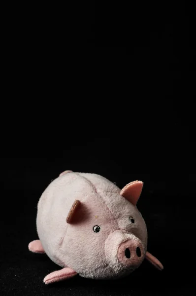 Juguete de peluche cerdo — Foto de Stock