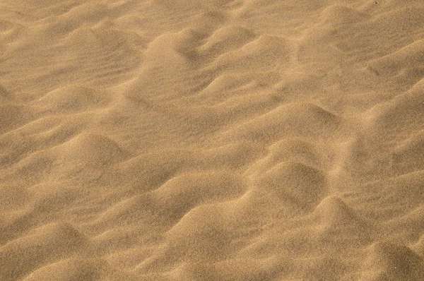 Αμμόλοφο έρημο υφή — Φωτογραφία Αρχείου