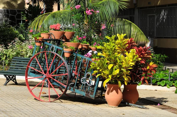 Carro e impianti — Foto Stock