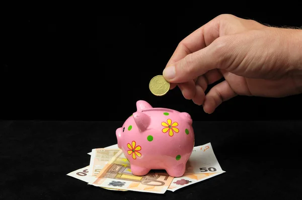 Pink Pig Piggy Bank — Stock Photo, Image