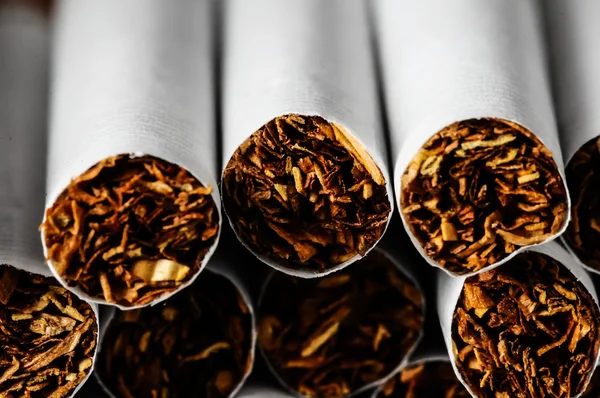 Industria del tabacco — Foto Stock