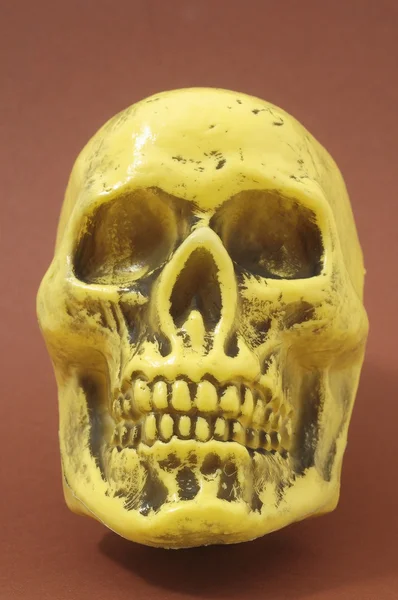 Yellow Skull — Stock Photo, Image