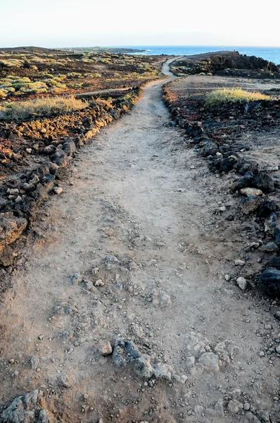 火山の砂漠における経路 — ストック写真