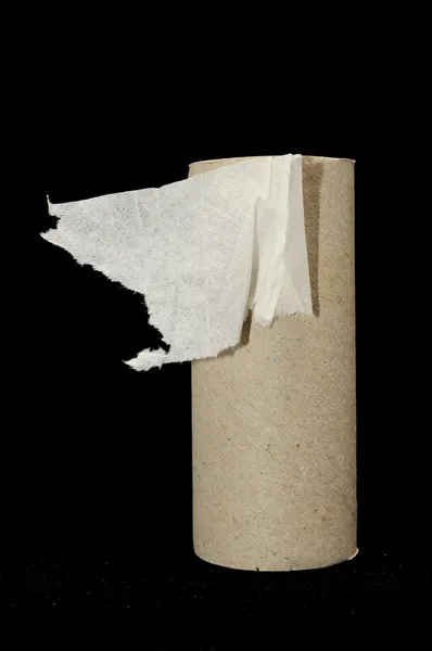 Rouleau de papier toilette vide — Photo