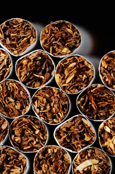 Tobacco Industry — Stock Photo, Image