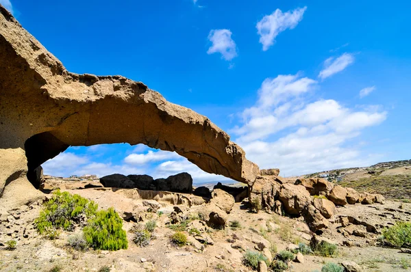 Dry landscape — Stock Photo, Image