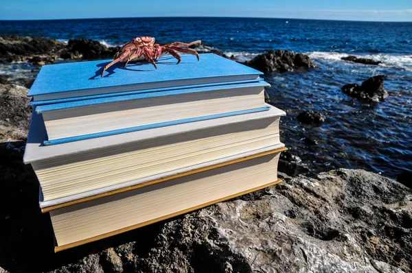 Orange krabbe på blå bøger - Stock-foto