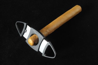 Cuban Brown Havan Cigar clipart