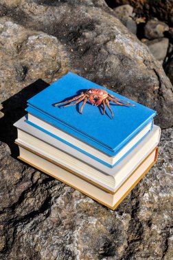 Orange Crab on Blue Books clipart